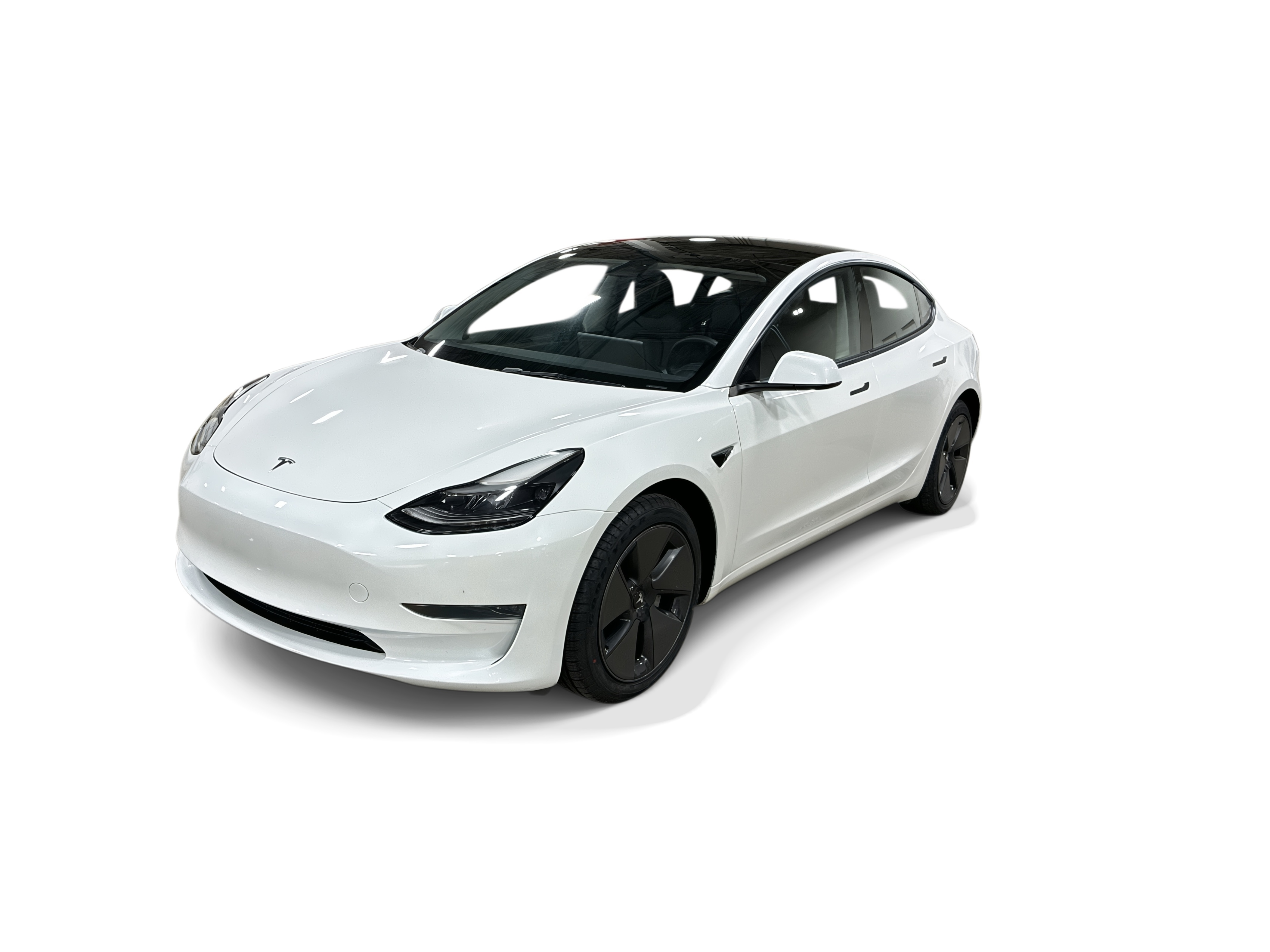 tesla model 3 2023 5YJ3E1EA4PF563490 image